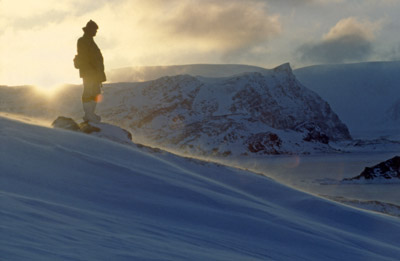 Dusk in Winter