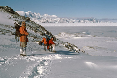 On Coronation Island