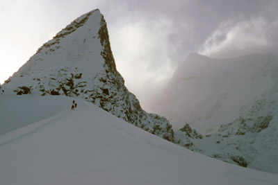 On Coronation Island