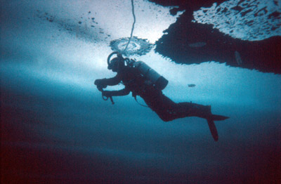Diving, Under Ice