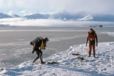 Diving, Ice Edge in factory Cove