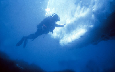 Diving, A Small Ice Berg