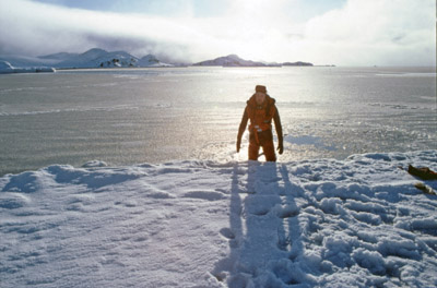 Diving, Ice Edge in factory Cove