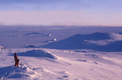 Looking to the West Coast from the Ice Cap