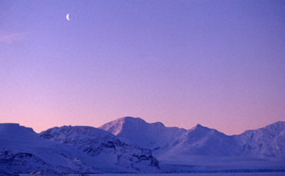 Coronation Island at Dusk