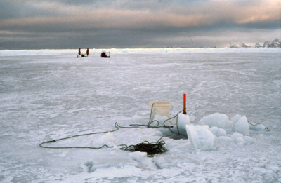 Retrieving a Net from Under the Ice