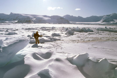 Cross Country Skiing in Winter