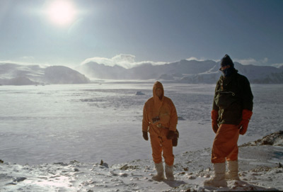 A Winter Walk