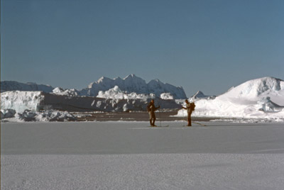 Winter Cross Country Skiing on Sea Ice