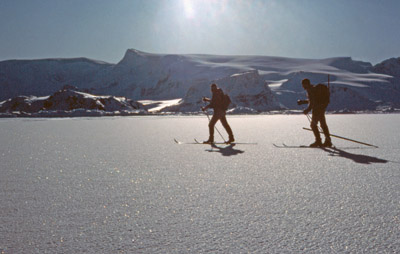 Winter Cross Country Skiing on Sea Ice