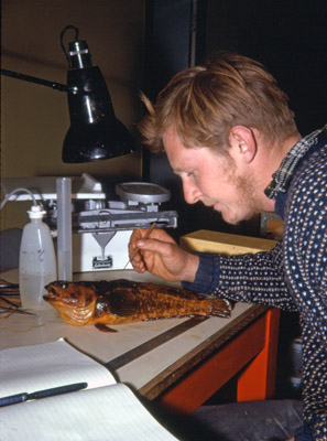 Inigo Everson examining fish scales