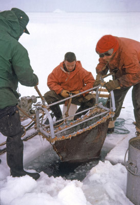 Trawl net being lowered through sea-ice