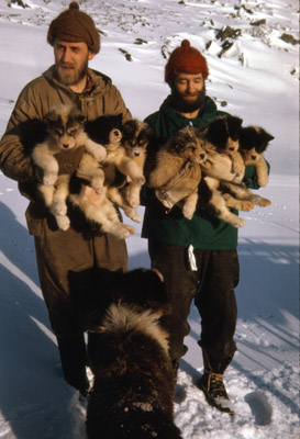 Peter Tilbrook and Alf Amphlett with husky pups