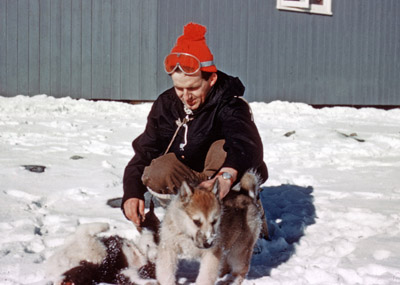 C.D. (Cecil) Scotland and pups at Base H, Signy Island