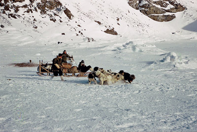 Dog training' on the shoreline near base, April 1957