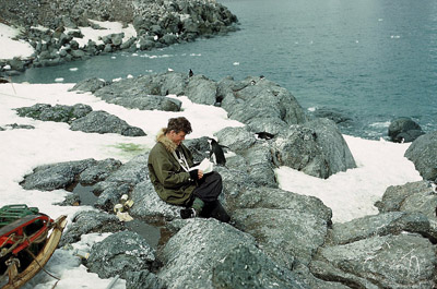 Drum Matthews writes home, Rayner Point, Coronation Island, Xmas 1956.