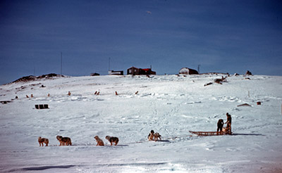 Dog training on the shoreline near base