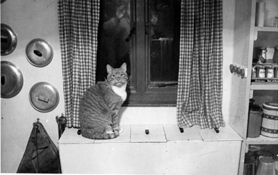 Food storage bins and Ginge the base cat - 1962