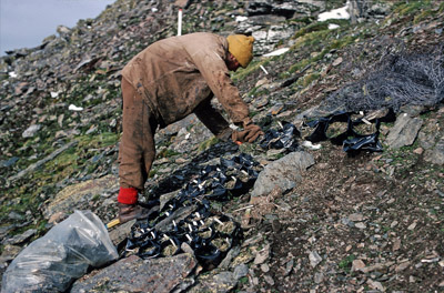 Botanist at trial site - 1969-70