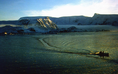 Boat dive coming back through thin ice late afternoon Borge Bay