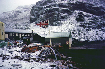 Flagpole and plan in a summer storm