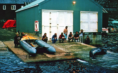 Divers photographing Leopard seal on the slipway