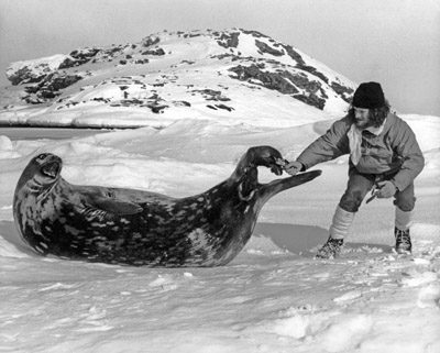 Jon on ice tagging a Weddell Seal