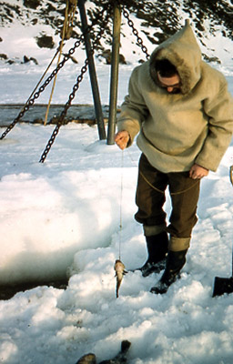 Tide-crack Fishing 1958