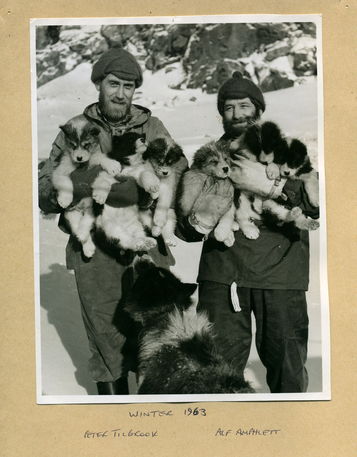 Peter Tilbrook, Alf Amphlett and pups 1963