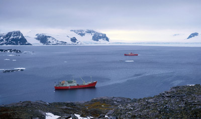 Shackleton and John Biscoe off Signy