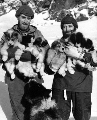 Pete Tilbrook & Alf Amphlett with pups