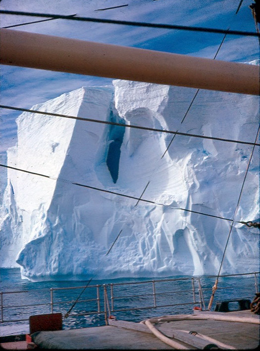 Iceberg from the Biscoe