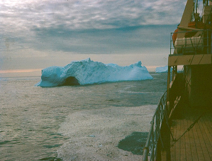 Iceberg from the Biscoe