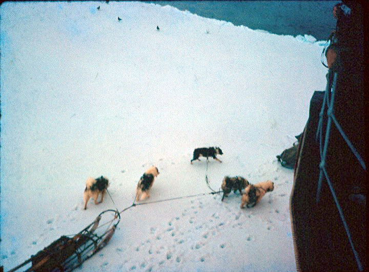 Sea ice relief by dog sled