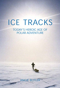 Ice Tracks - book cover
