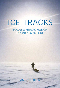 Ice Tracks - book cover