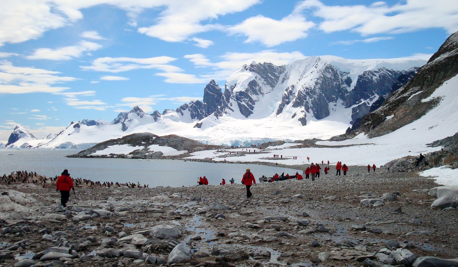 Antarctic Tour Operators' Fuel Consumption to be Analysed as They Embark on Climate Strategy - IAATO