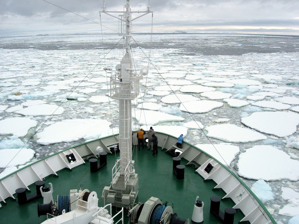 antarctic cruise