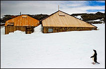 Mawson's Antarctica - Commonwealth Ba