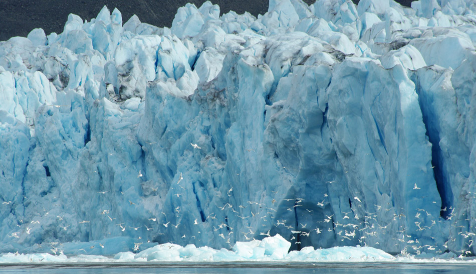 svalbard glacier