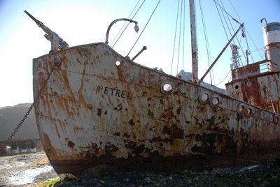 The Petrel, Wreck of a Whale Catcher - South Georgia