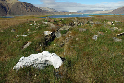 Dorset Culture Summer Settlement Bylot Island