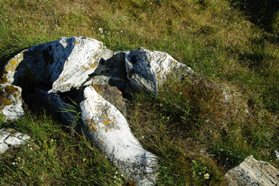 Dorset Culture Summer Settlement Bylot Island