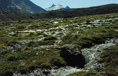 Baffin Island - Alien Stone Carving