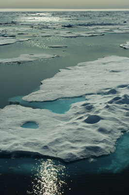 Pack Ice in Baffin Bay Between Baffin Island and Greenland