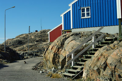 Uummannaq Town, Greenland, With Sled Dog Puppy