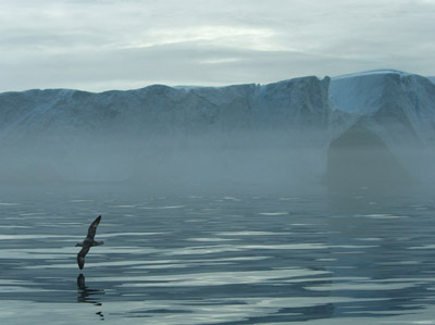 Disko Bay, Ilulissat Greenland, Icebergs in the Mist