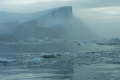 Disko Bay, Ilulissat Greenland, Icebergs in the Mist