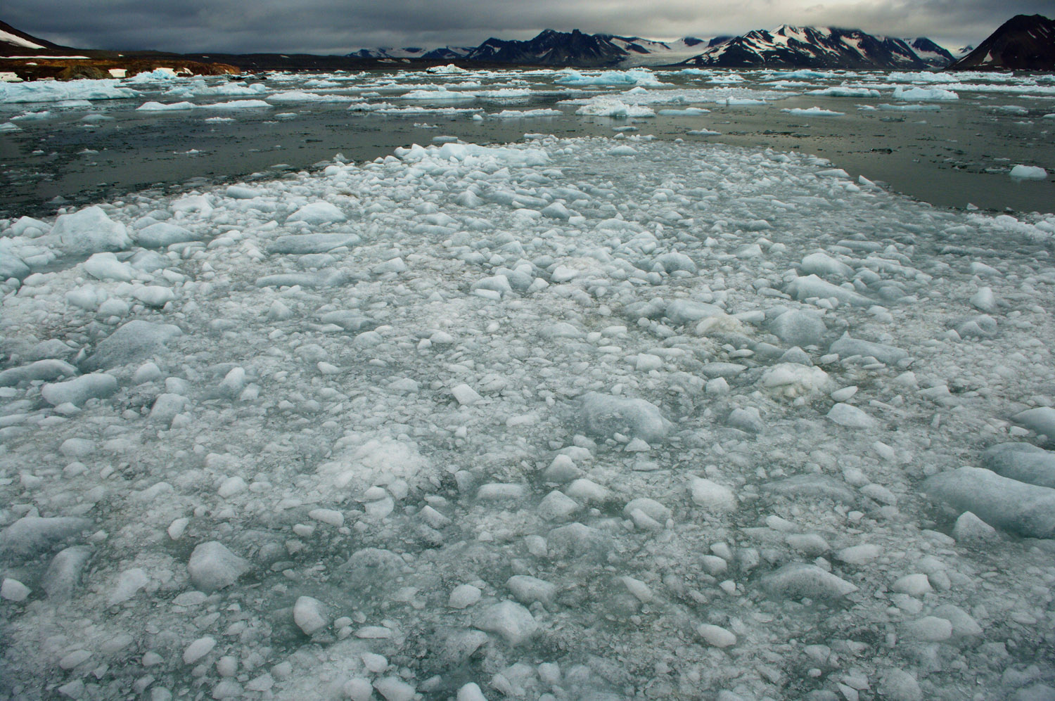 Brash Ice 1 - Svalbard / Spitsbergen