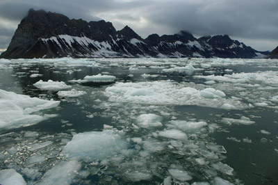 Brash Ice 4 - Svalbard / Spitsbergen
